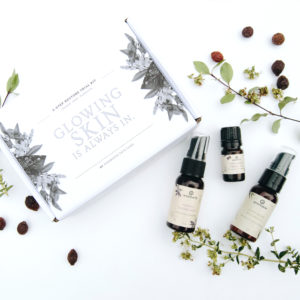 annemarie skincare gift set