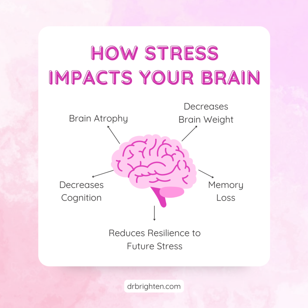 estrogen brain health