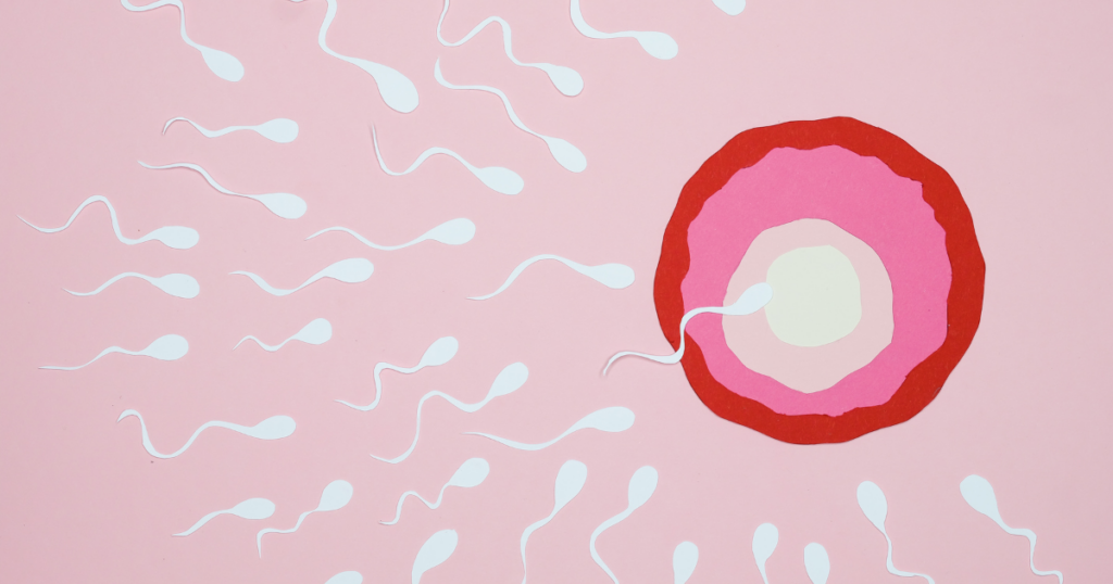 Lab Work You Need While Trying to Conceive