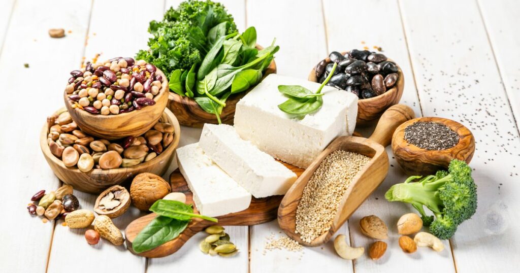 animal proteins