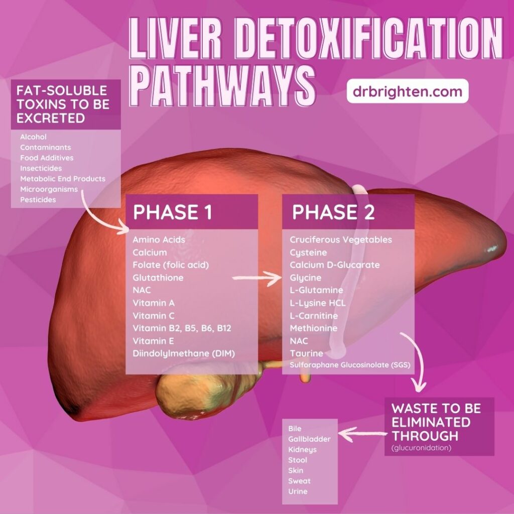 liver detoxification pathways