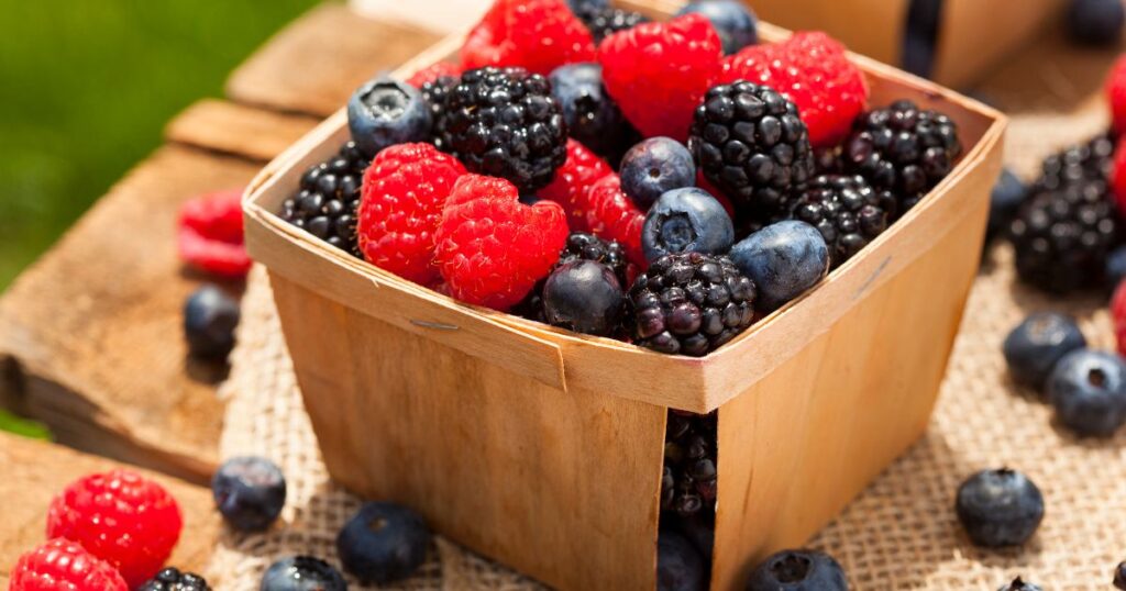 what is in resveratrol